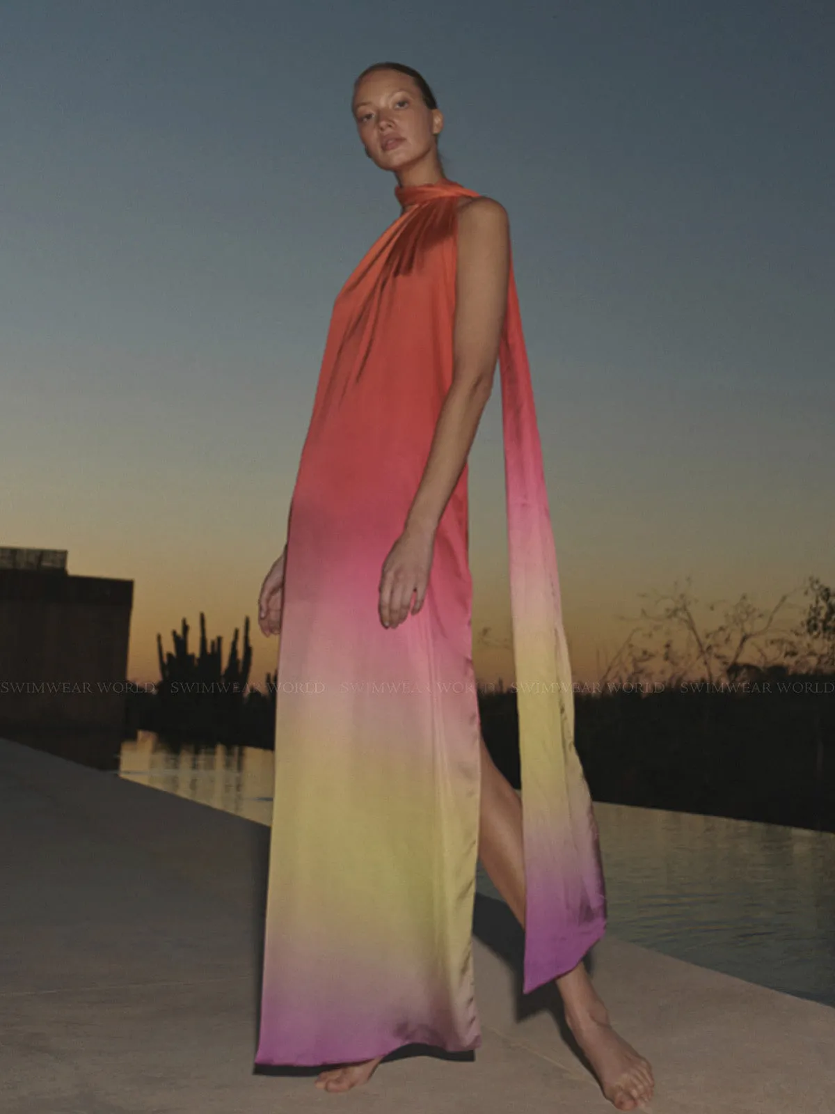 Ari Dress ::RET