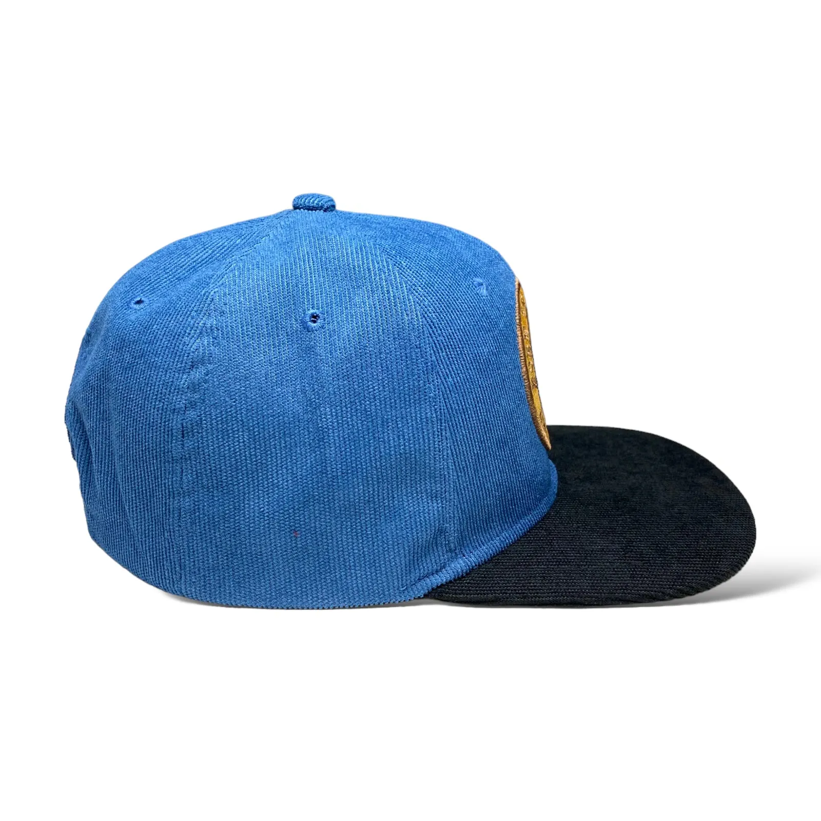 Born to Be Strong Eagle USA Flag Snapback Cap, Corduroy, Flat Brim