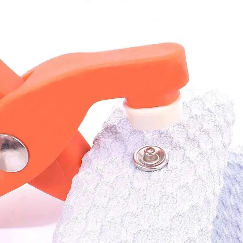 Five Claw Buckle