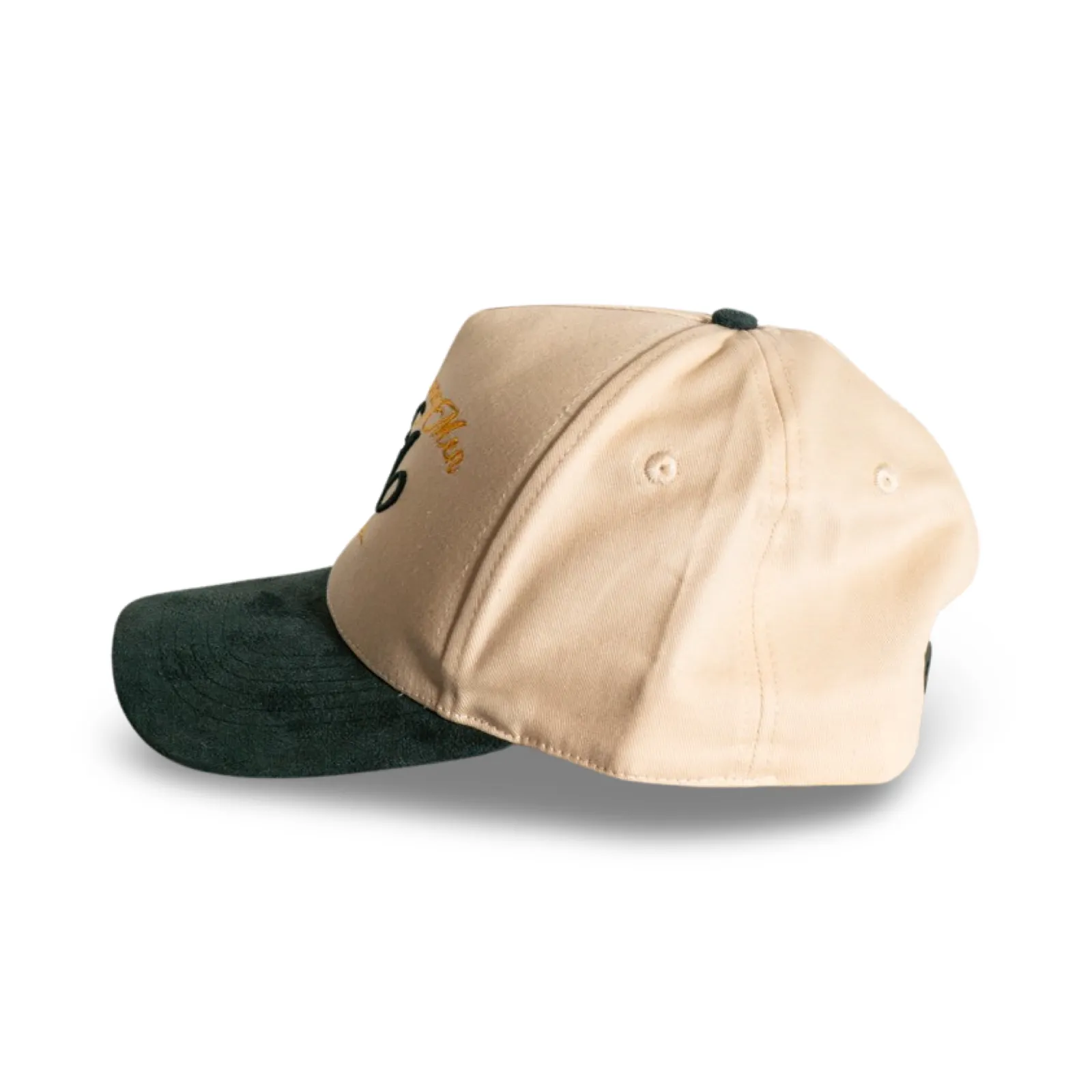 Lions Among Men Snapback